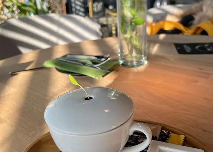 White Titanic 5 Stele 5* Năvodari